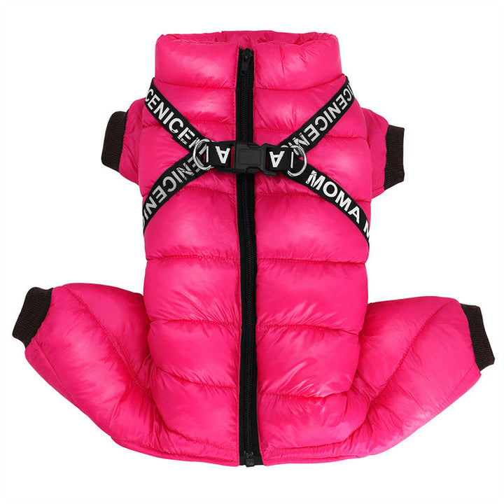 Hond rent vrolijk in een warme, waterdichte ArcticPaws winterjas, beschermd tegen wind en kou tijdens het spelen.