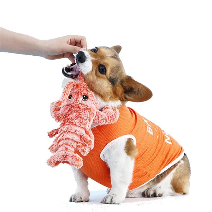 Rood BouncyLobster interactief hondenspeeltje. Stimuleert en daagt honden uit voor urenlang speelplezier en vermaak.