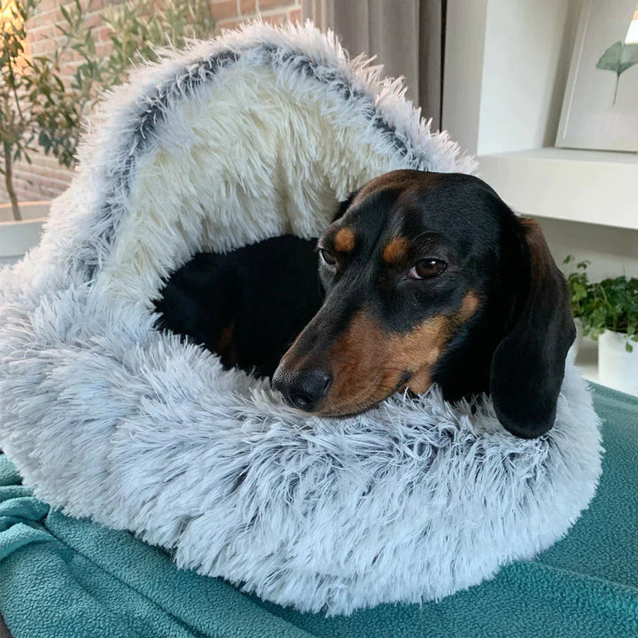 Hond slaapt zalig in zacht beige honden droombed, ideaal voor anti-stress en gewrichtsondersteuning. Fijne slaapplek.
