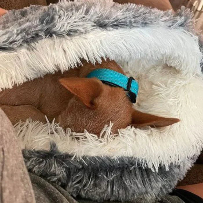 Zachte, wasbare stof van het roze honden droombed, perfect voor hygiëne en langdurig comfort. Huisdierbed voor honden.