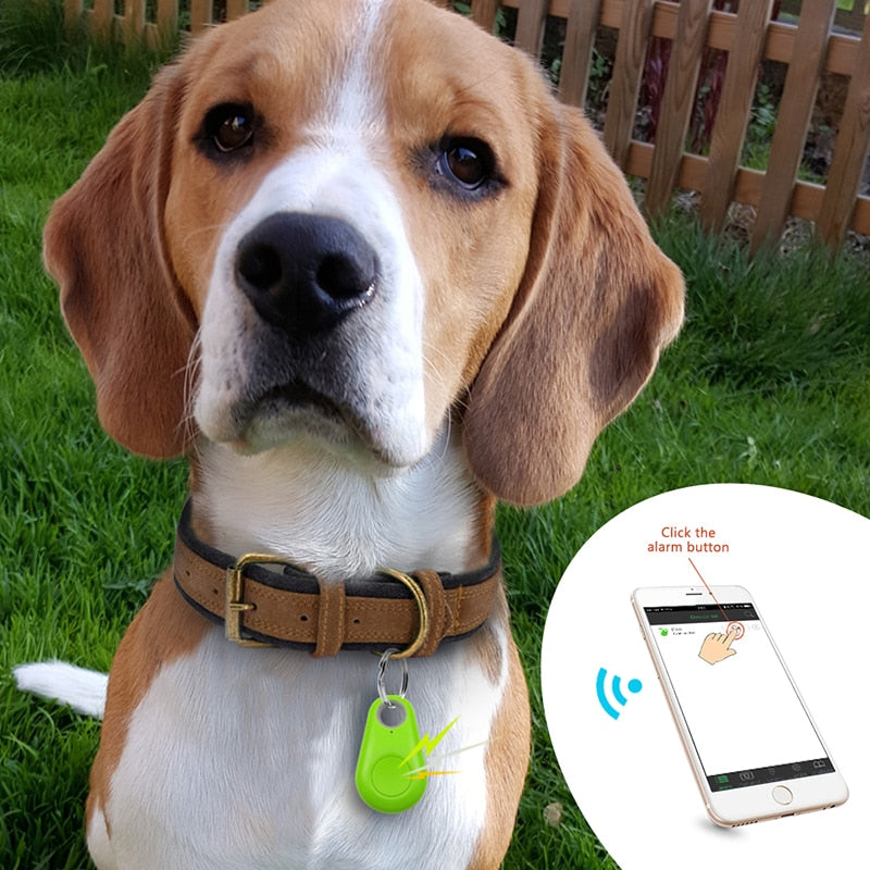 Compacte PawFinder huisdier GPS tracker voor realtime tracking van hond of kat.