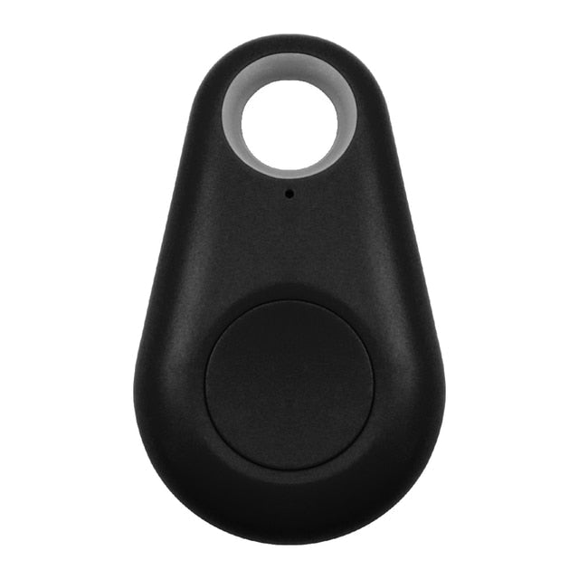 PawFinder GPS tag voor huisdieren, ideaal om je hond of kat veilig terug te vinden.