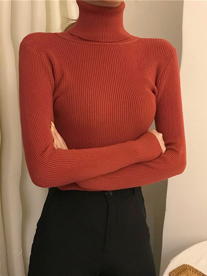 Moderne dames coltrui, veelzijdig en stijlvol, een must-have voor je garderobe.