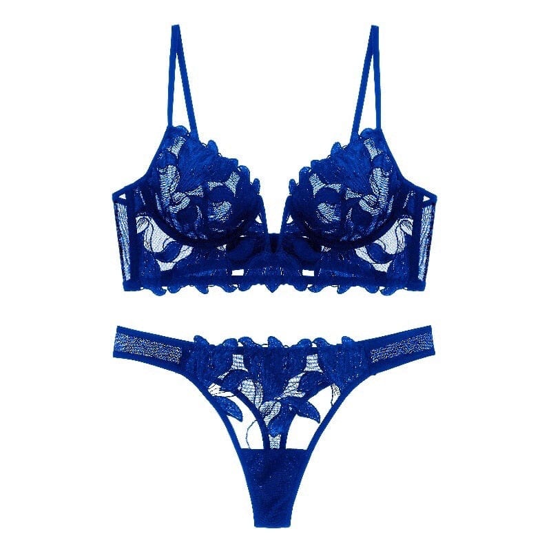 Dames sexy Franse kant lingerie set, elegante bh en slip met diepe V-hals.