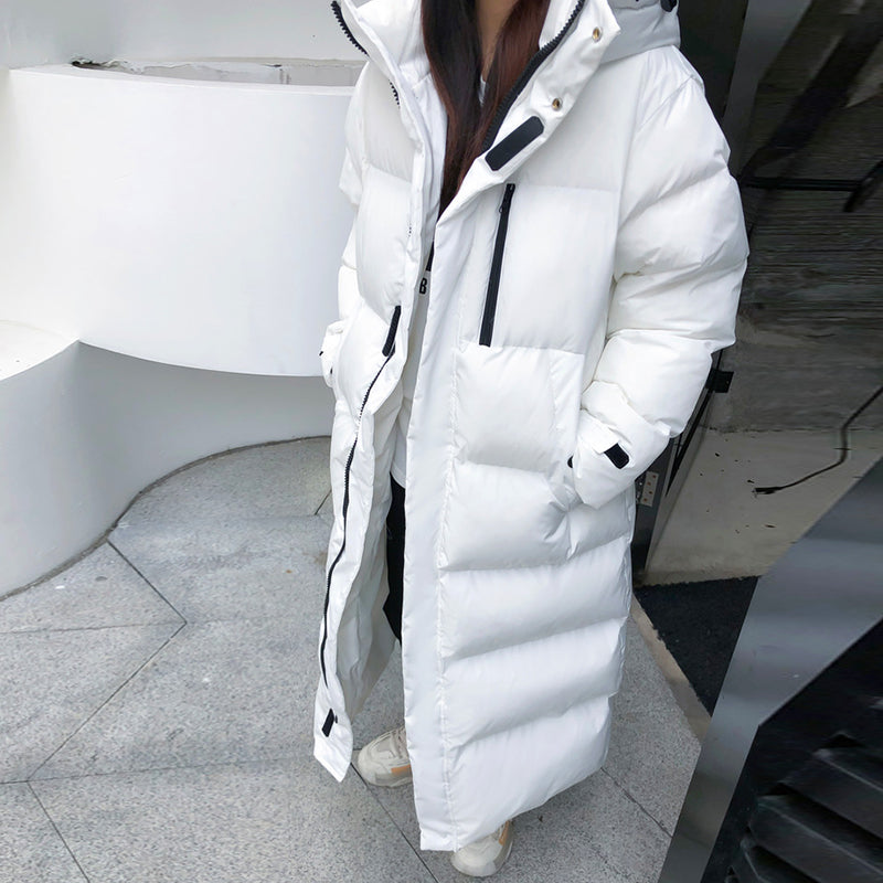 Tommy dames dons parka, een trendy en warme outdoorjas. Essentieel voor de winter.