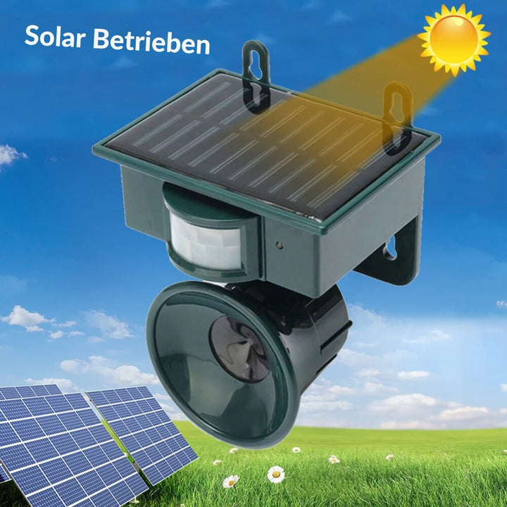Vogelafschrikker speciaal ontworpen voor balkons. Houd duiven weg met deze zonne-energie aangedreven oplossing.