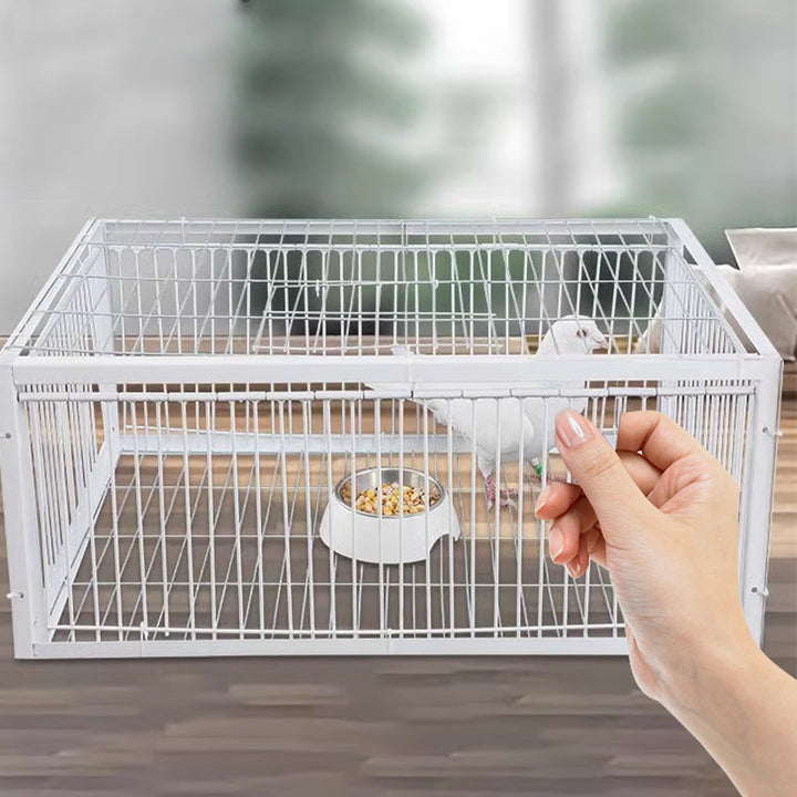 Diervriendelijke vogelval BirdSafe Trap voor humane vangst en vogelbeheer in tuin of schuur.