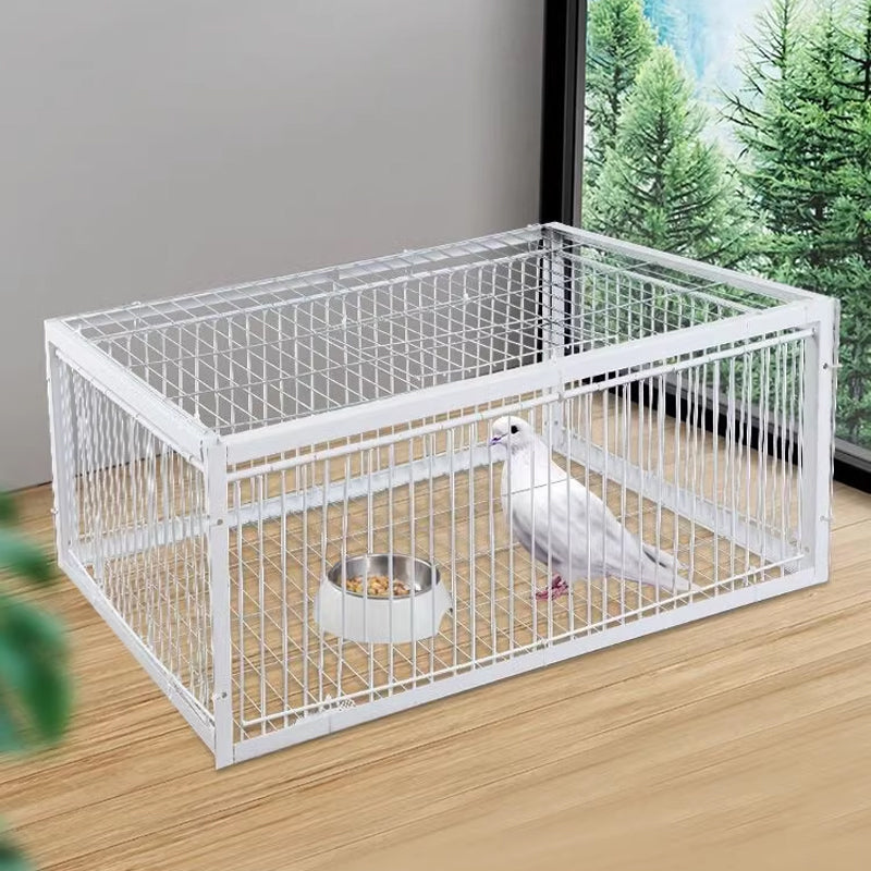 BirdSafe humane vogelval met terugslagbeveiliging voor effectieve en diervriendelijke vogelbestrijding.
