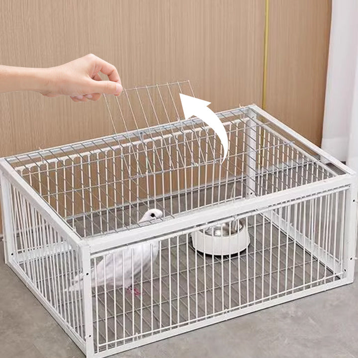 Humaan ontworpen vogelvangkooi BirdSafe, perfect voor diervriendelijke ongediertebestrijding buiten.