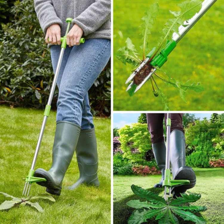 Gebruiksvriendelijke onkruidtrekker voor een nette, onkruidvrije tuin zonder bukken. Ideaal voor tuinieren.