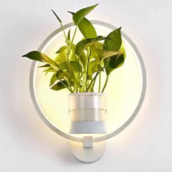 Elegante LED-Planten-Wandlamp met plantenhouder, modern design, warm licht, ruimtebesparend, natuurlijke woonstijl