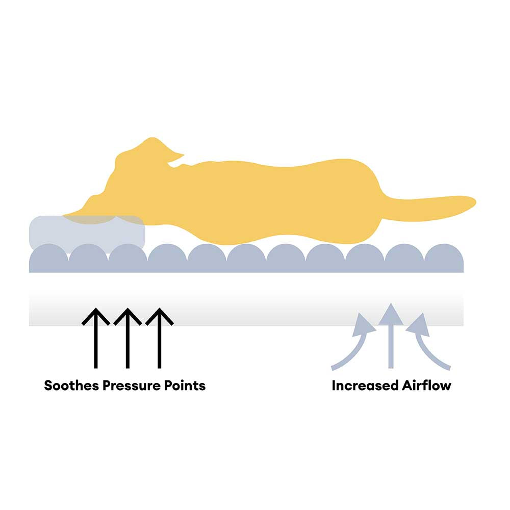 Zacht, groot orthopedisch nekkussenbed voor mens en hond, ergonomisch, gemaakt van zacht pluche materiaal.