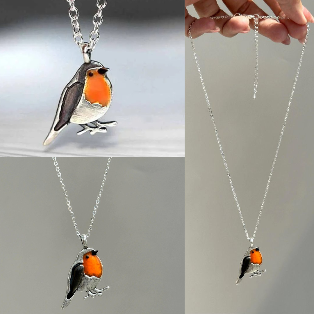 Inspirerend dames sieraad: geluksvogel ketting & oorbellen met roodborstje, ideaal als cadeau.
