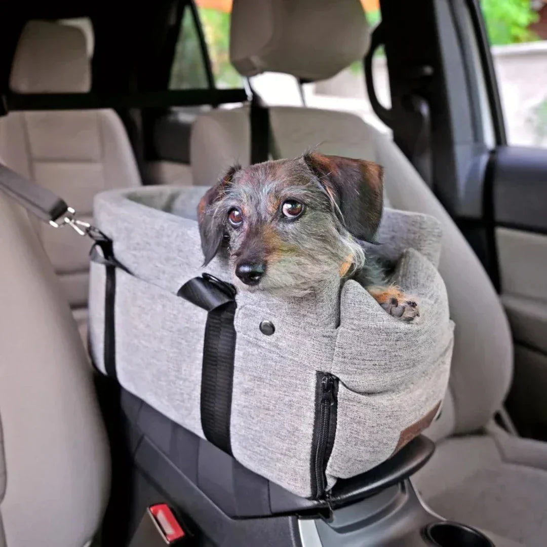 Kleine hond geniet comfortabel en veilig in het grijze PawVoyage honden autostoeltje. Ideaal voor reizen.