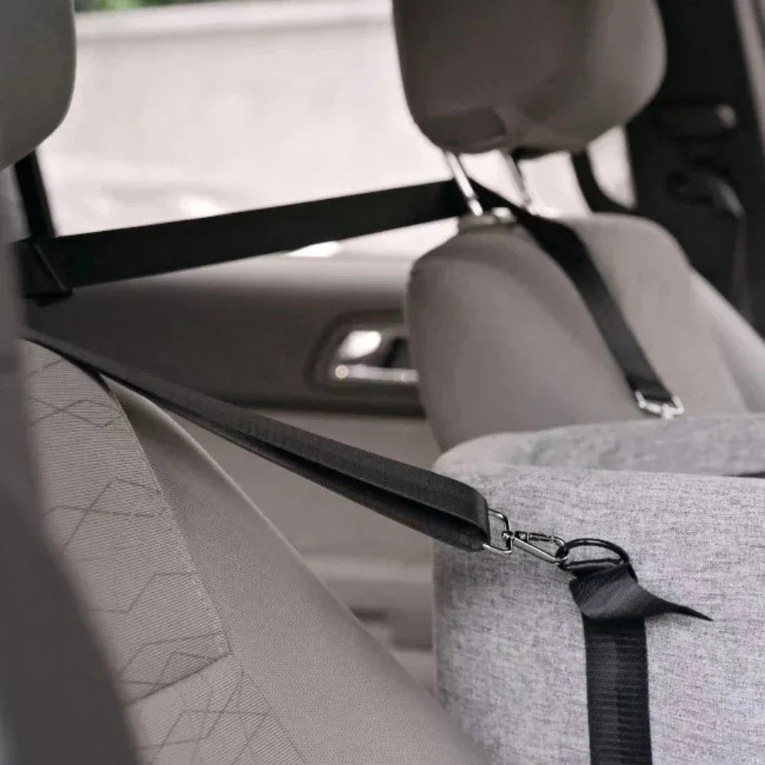 PawVoyage honden autostoel met een kleine hond, voor een veilige en comfortabele reiservaring.