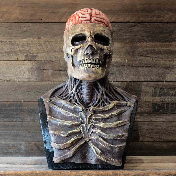 Griezelig skelet bio-masker voor Halloween met levensechte details en hoog draagcomfort, ideaal voor kostuumfeestjes.