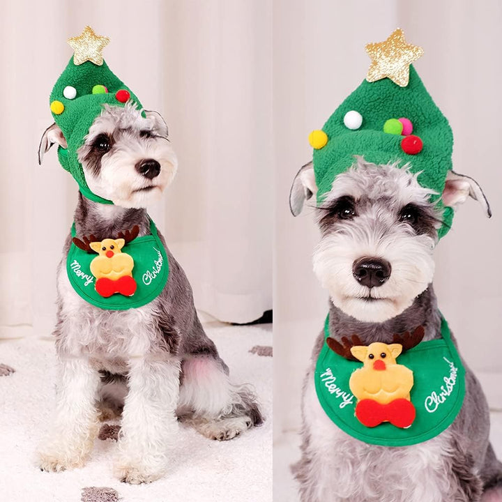 Hond of kat in feestelijke kerstoutfit: groene feestmuts en wit rendier slabbetje voor de feestdagen.