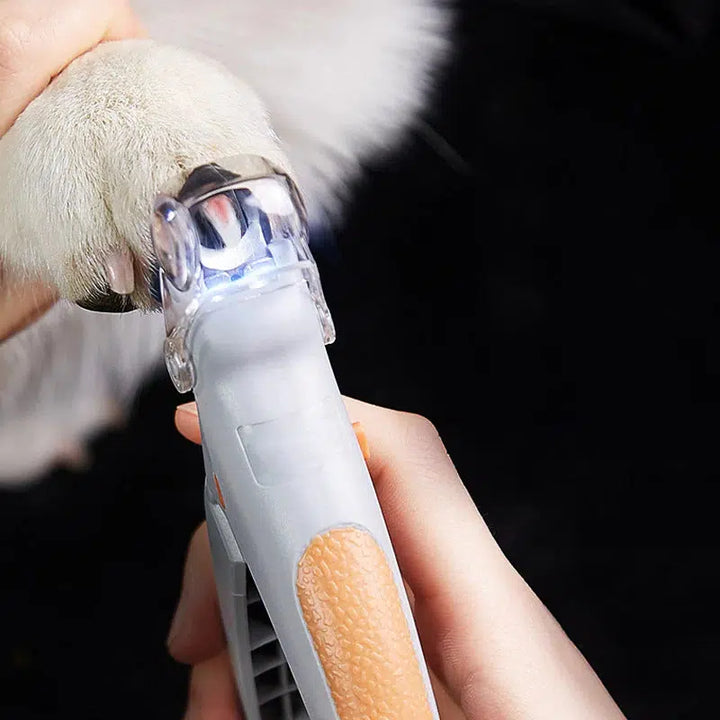 Hondennagelknipper met snelle sensoren, ergonomisch, roestvrijstalen bladen, veilig, pijnloos, comfortabele grip.