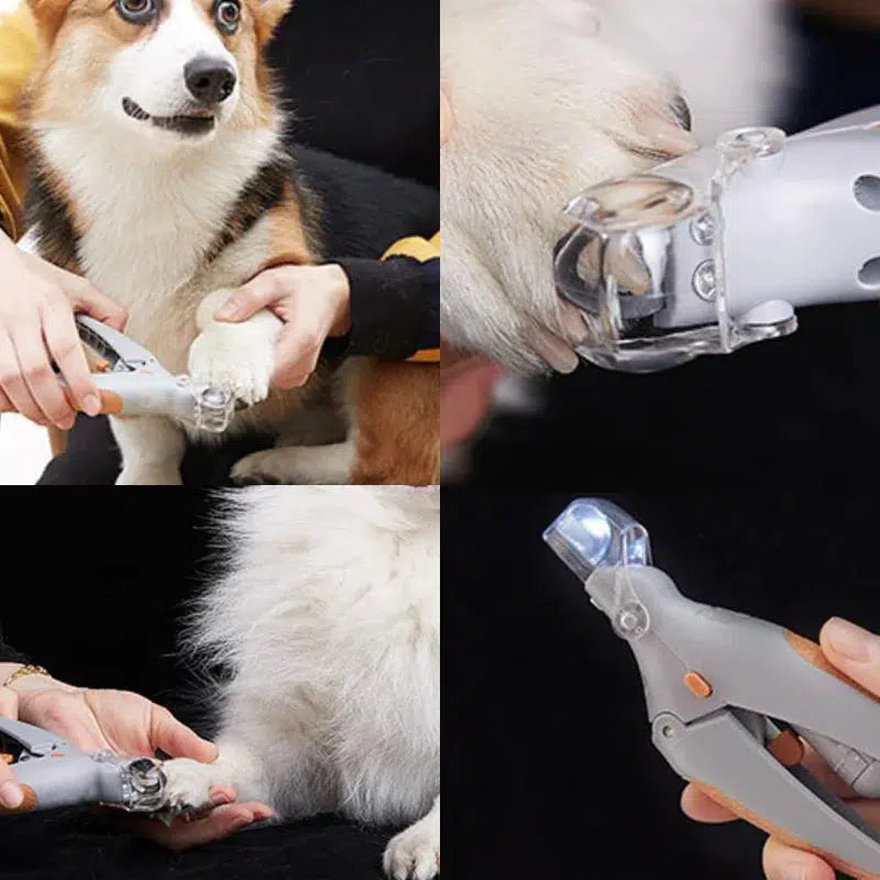 Hondennagelknipper met snelle sensoren, ergonomisch, roestvrijstalen bladen, veilig, pijnloos, comfortabele grip.
