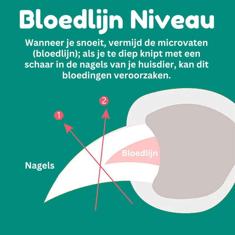 Hondennagelknipper met snelle sensoren, ergonomisch, roestvrijstalen bladen, veilig, pijnloos, comfortabele grip.