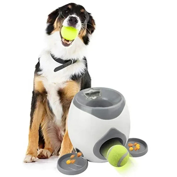 Dierbenodigdheden: automatische ballenwerper, duurzaam interactief speeltje voor elke hond.