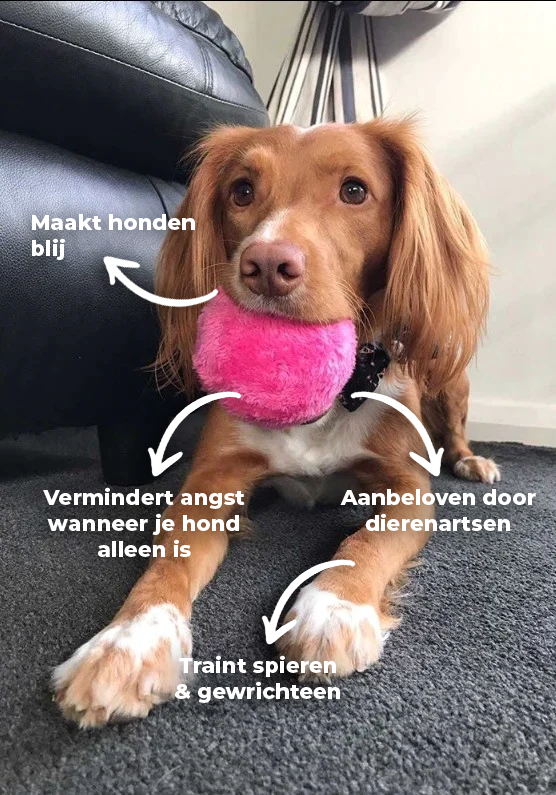 Interactieve automatische honden speelbal voor stressvermindering; ideaal voor binnenshuis plezier en beweging.