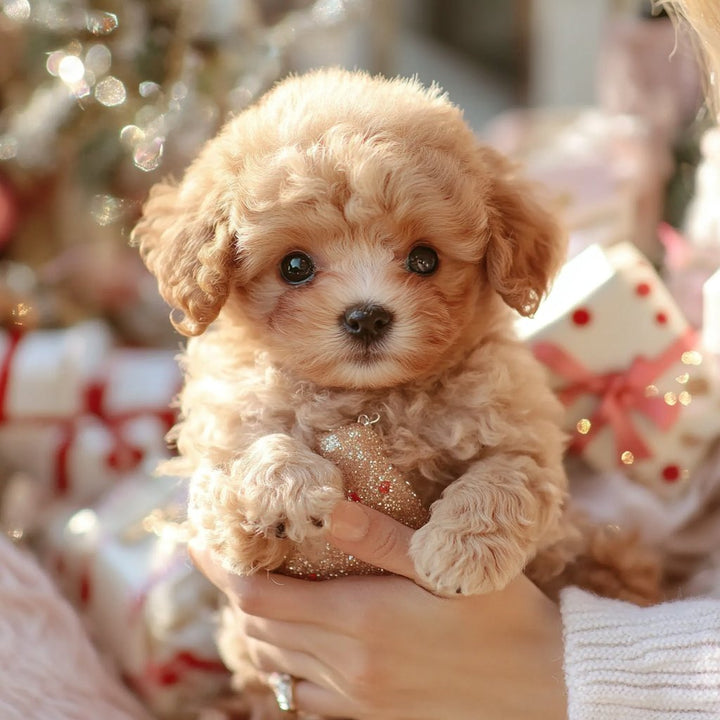 Interactieve pluche puppy met realistische bewegingen en zachte vacht, bruin-wit, voor emotioneel comfort.