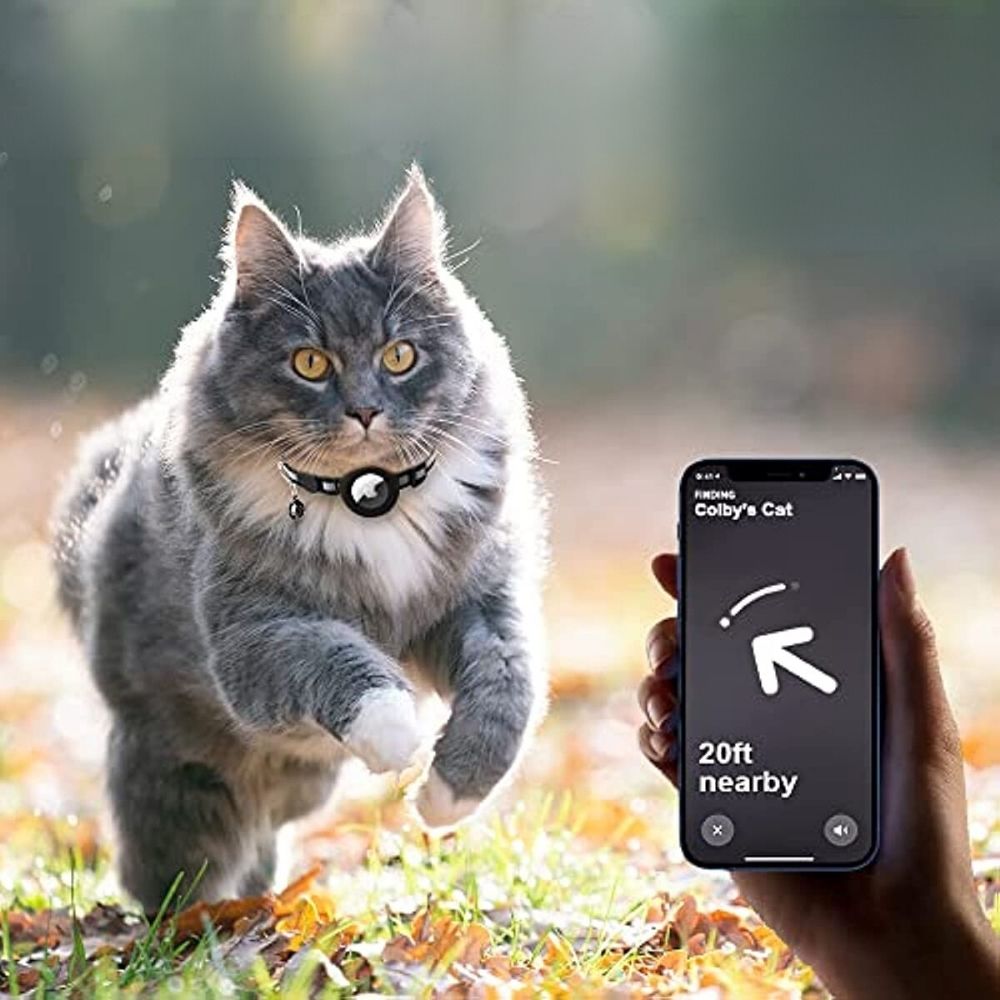 Kattenhalsbandje met veiligheidssluiting en GPS-optie voor je huisdier.