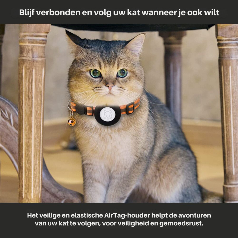 Veilig kattenhalsbandje Milo met snelsluiting om ontsnapping te voorkomen.