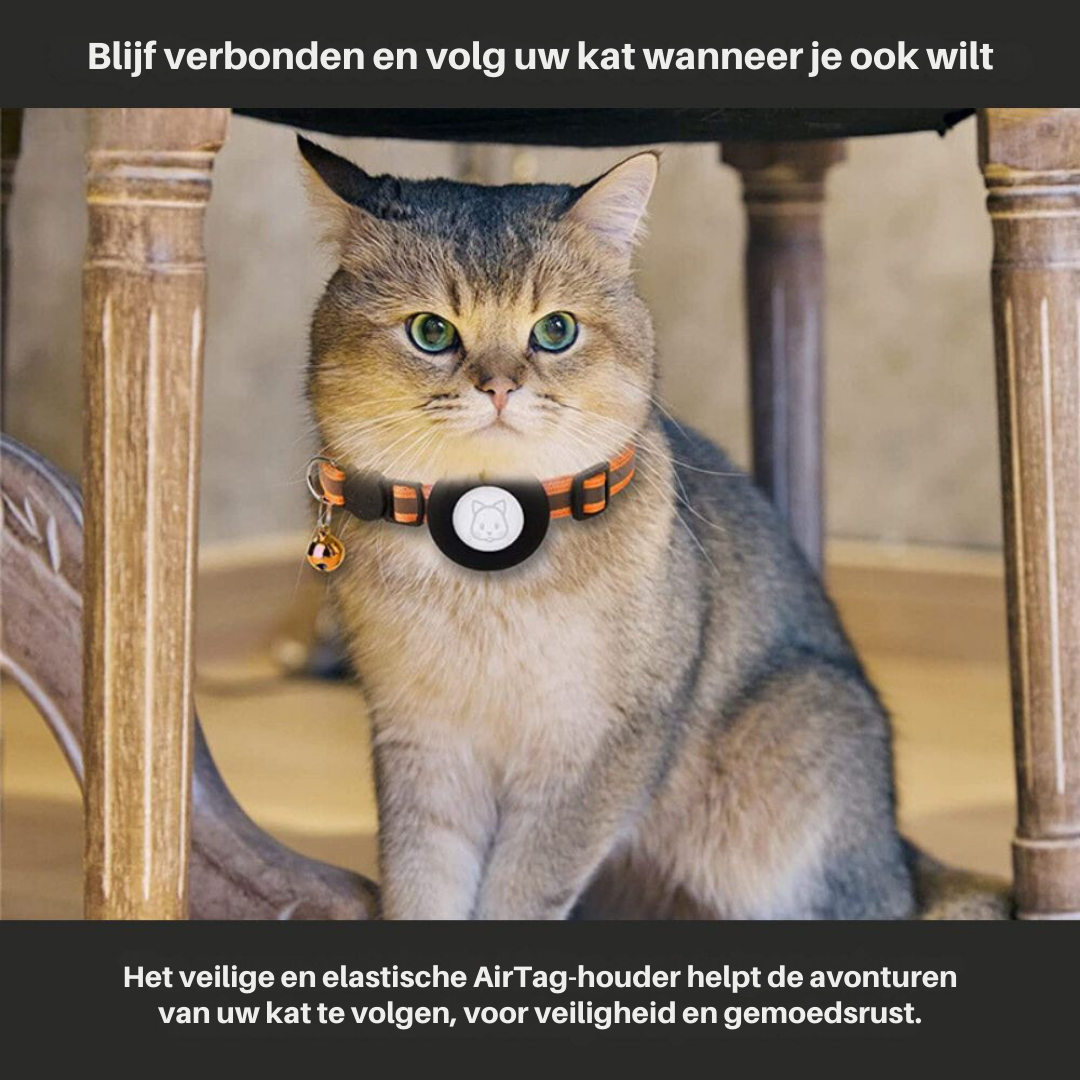 Veilig kattenhalsbandje Milo met snelsluiting om ontsnapping te voorkomen.