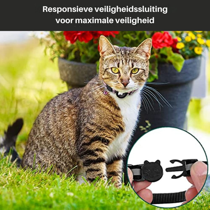Reflecterend kattenhalsbandje voor nachtzicht en extra veiligheid van je kat.