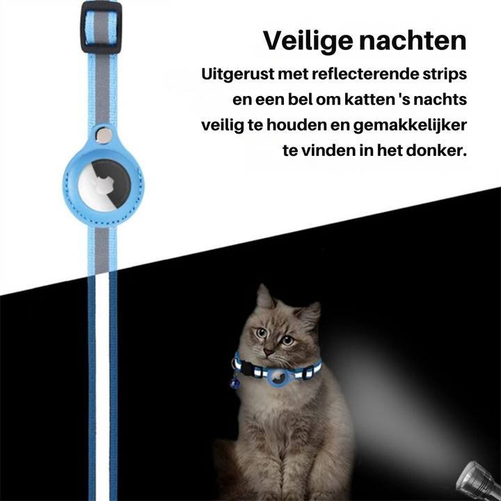 Reflecterende kattenhalsband met veilige sluiting voor nachtzicht.