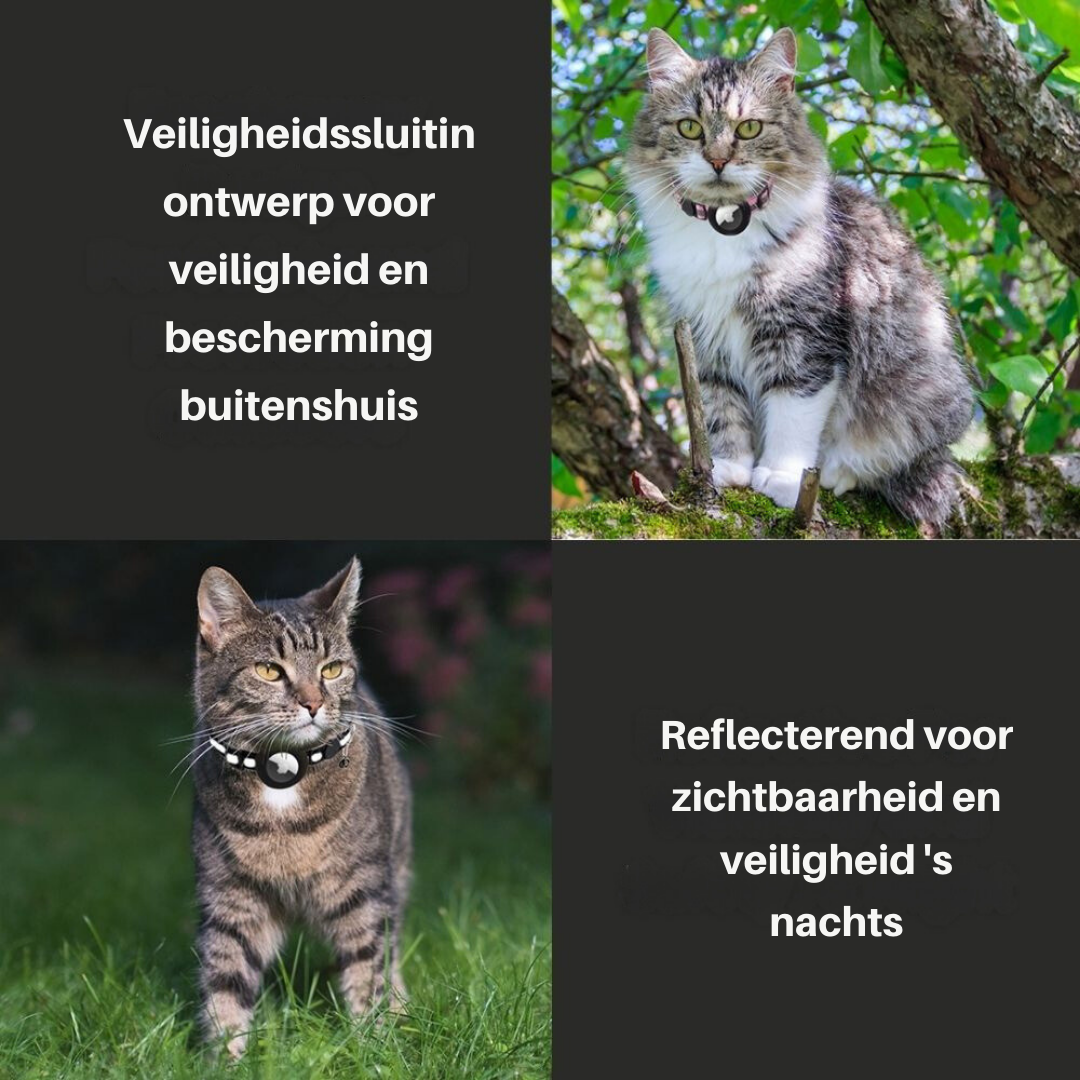 Vind je kat terug met dit kattenhalsbandje met GPS-optie en veiligheid.
