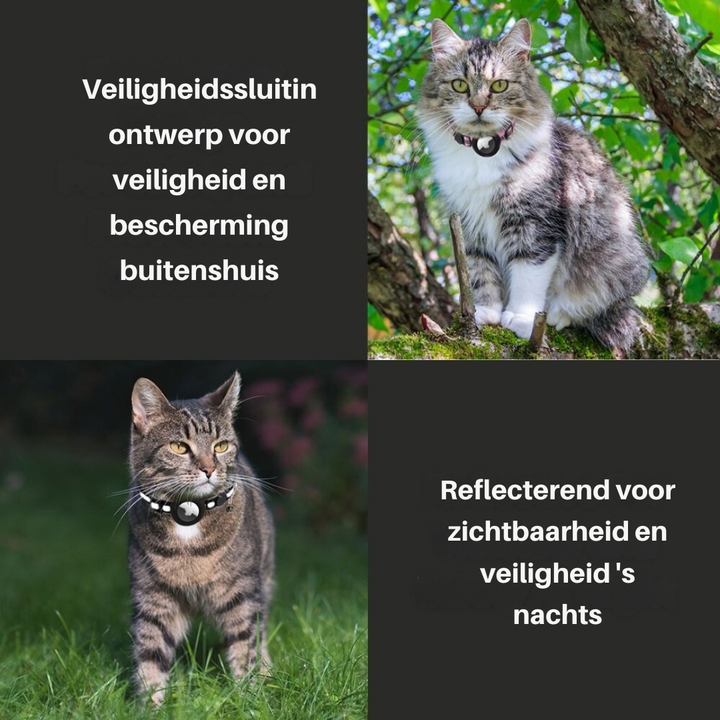 Vind je kat terug met dit kattenhalsbandje met GPS-optie en veiligheid.