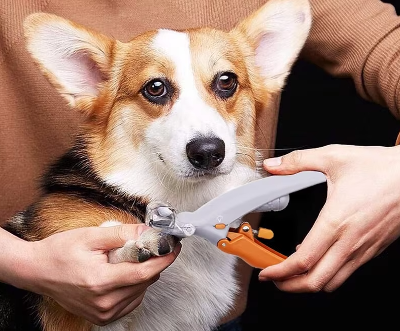 Nagelknipper met LED-licht en vergrootglas voor nauwkeurige huisdierverzorging, roestvrijstalen bladen, ergonomisch ontwerp.