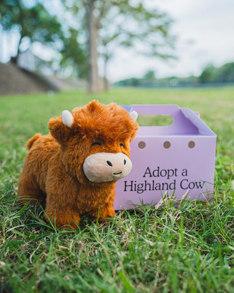 Knuffelig Hoogland koe pluche dier met realistische details voor decoratie en cadeau-ideeën, ideaal voor kinderkamers.