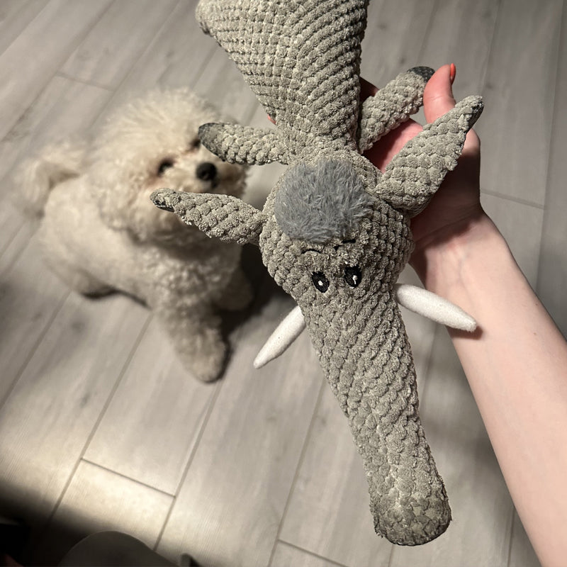 Duurzaam hondenspeelgoed van stof, olifantenontwerp, robuust voor sterke kauwers, bevordert tandverzorging, ideaal voor alle honden.