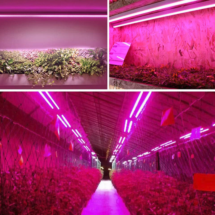 LED plantenlamp met volledig spectrum verlichting, energiezuinige technologie, ideaal voor binnenplanten, met trekschakelaar.