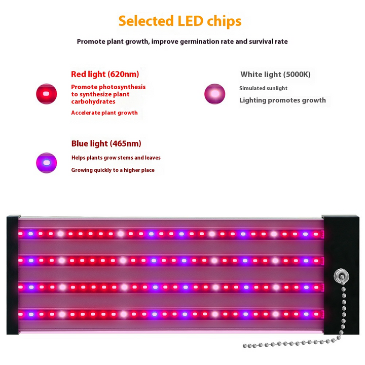 LED plantenlamp met volledig spectrum verlichting, energiezuinige technologie, ideaal voor binnenplanten, met trekschakelaar.