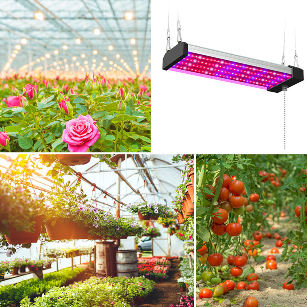 LED plantenlamp met volledig spectrum verlichting, energiezuinige technologie, ideaal voor binnenplanten, met trekschakelaar.