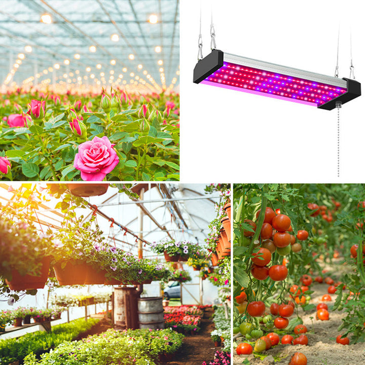 LED plantenlamp met volledig spectrum verlichting, energiezuinige technologie, ideaal voor binnenplanten, met trekschakelaar.
