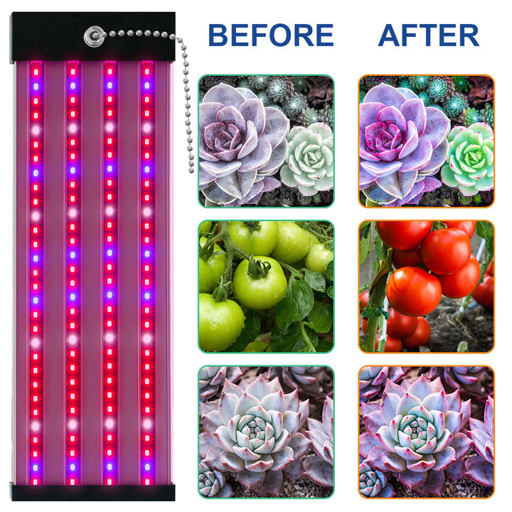 LED plantenlamp met volledig spectrum verlichting, energiezuinige technologie, ideaal voor binnenplanten, met trekschakelaar.
