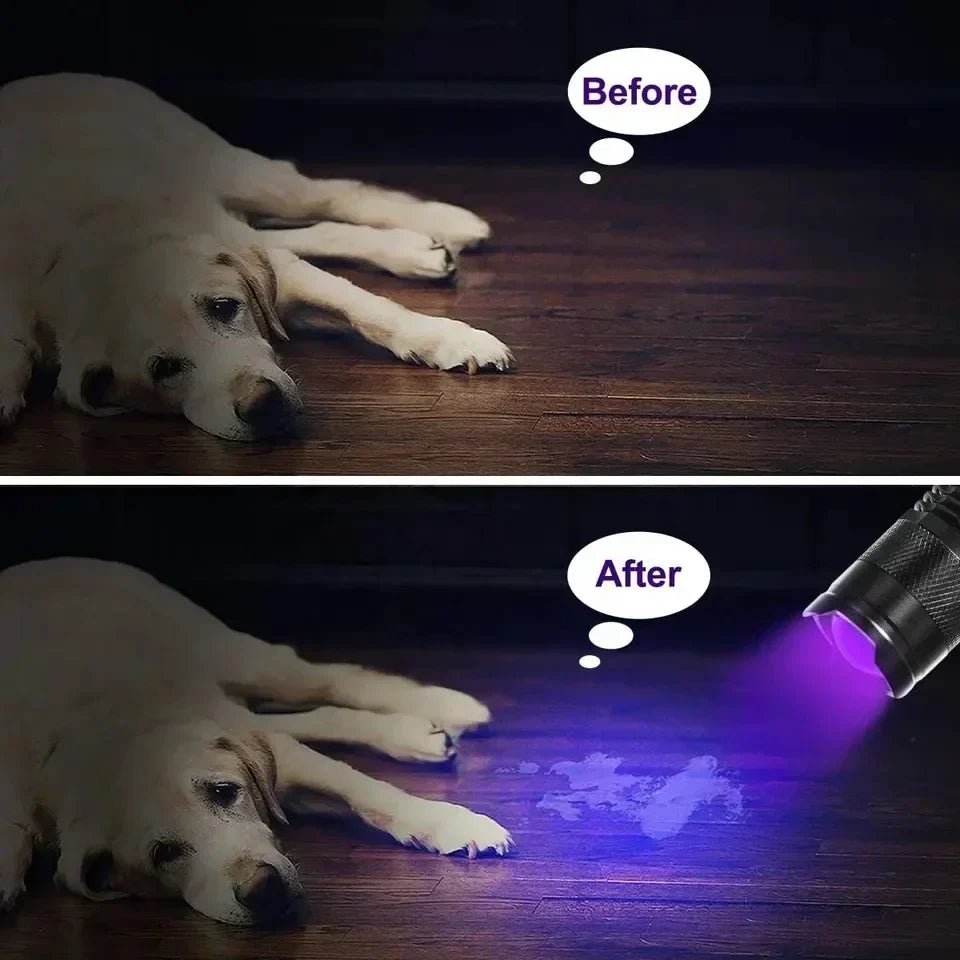 Compacte LED UV-zaklamp voor vlekdetectie, gemaakt van aluminium, perfect voor huisdiervlekken, handig en draagbaar.