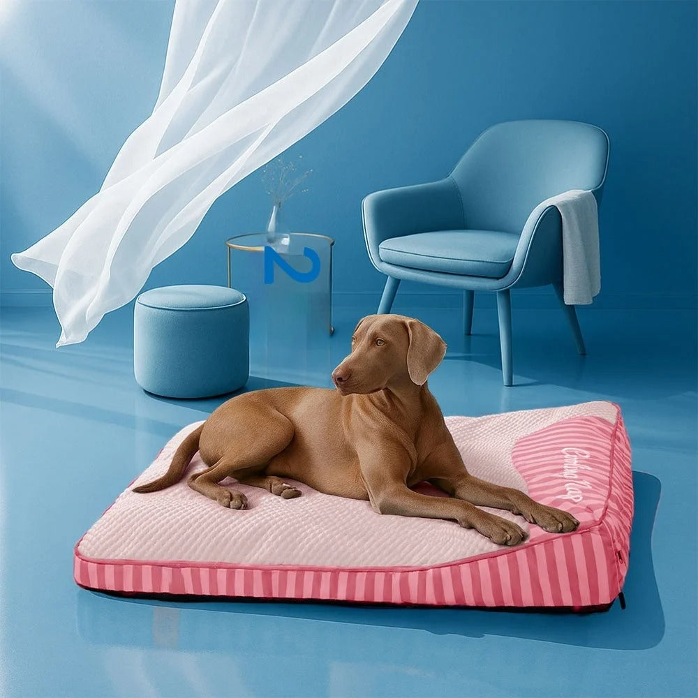 Hondenbed Groot - Koelend & Wasbaar | Orthopedisch Comfort