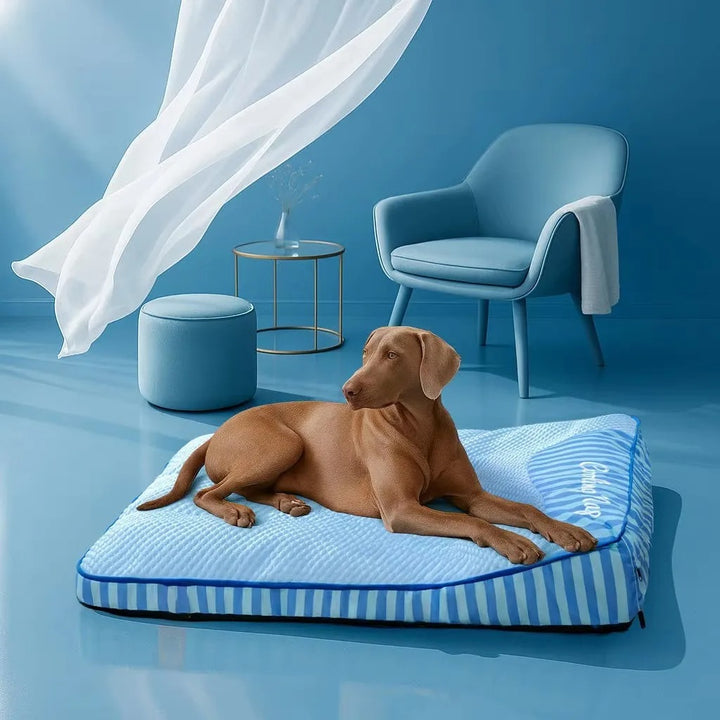 Hondenbed Groot - Koelend & Wasbaar | Orthopedisch Comfort