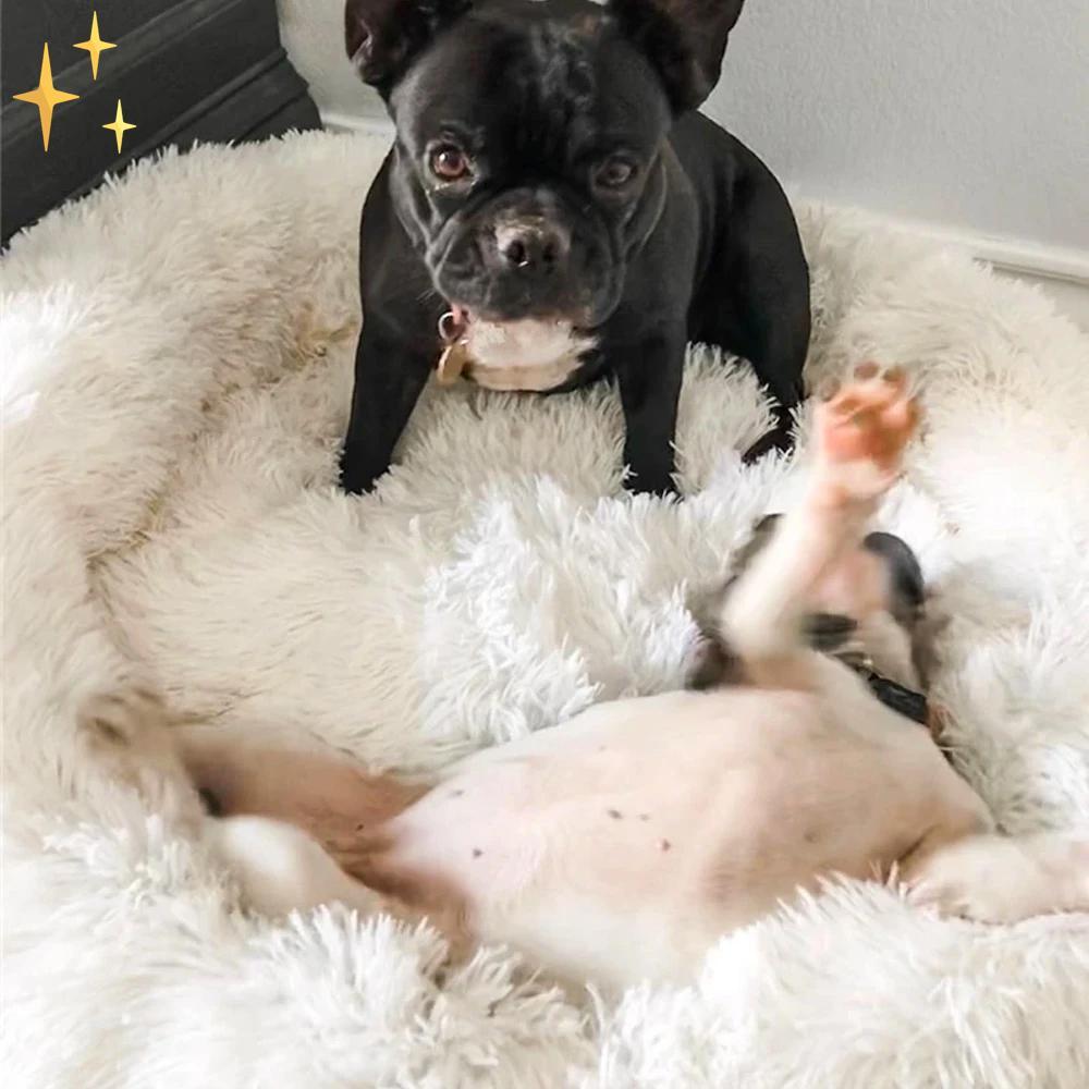 Zacht Pluche Huisdierbed voor Alle Maten Honden en Katten