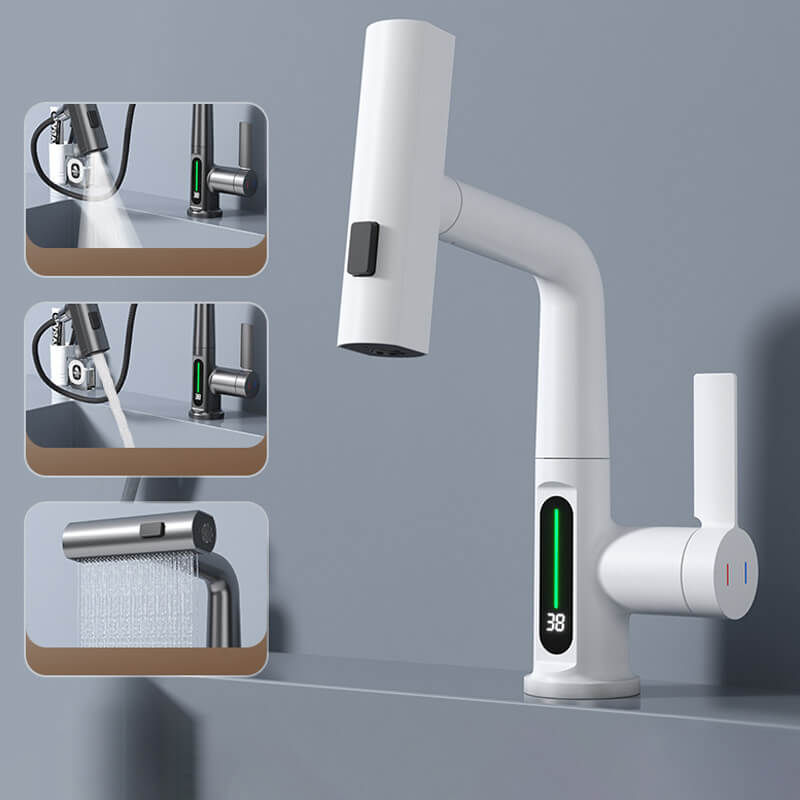 Uittrekbare moderne keukenkraan met 5 instelbare waterstralen, perfect voor spoelen en vullen. Inclusief temp. display.