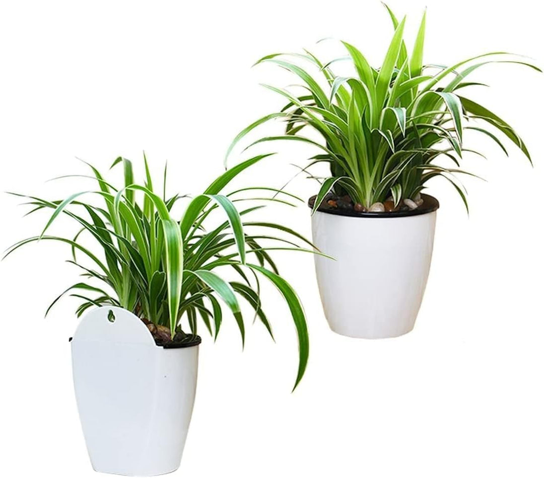 Moderne witte hangende plantenbak met zelfirrigatie voor binnen en buiten, ruimtebesparend en decoratief.