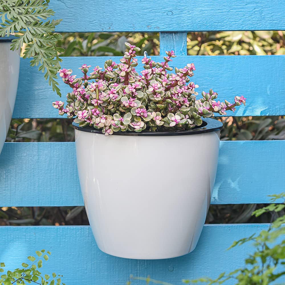 Moderne witte hangende plantenbak met zelfirrigatie voor binnen en buiten, ruimtebesparend en decoratief.