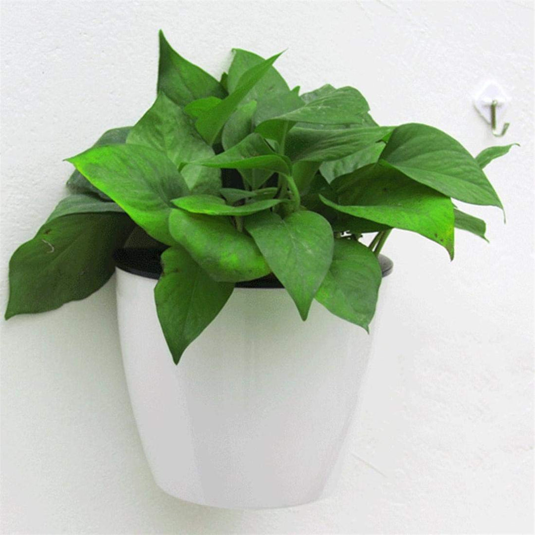 Moderne witte hangende plantenbak met zelfirrigatie voor binnen en buiten, ruimtebesparend en decoratief.
